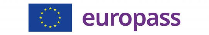 Suplementos Europass A Los T tulos De Ense anzas Art sticas 